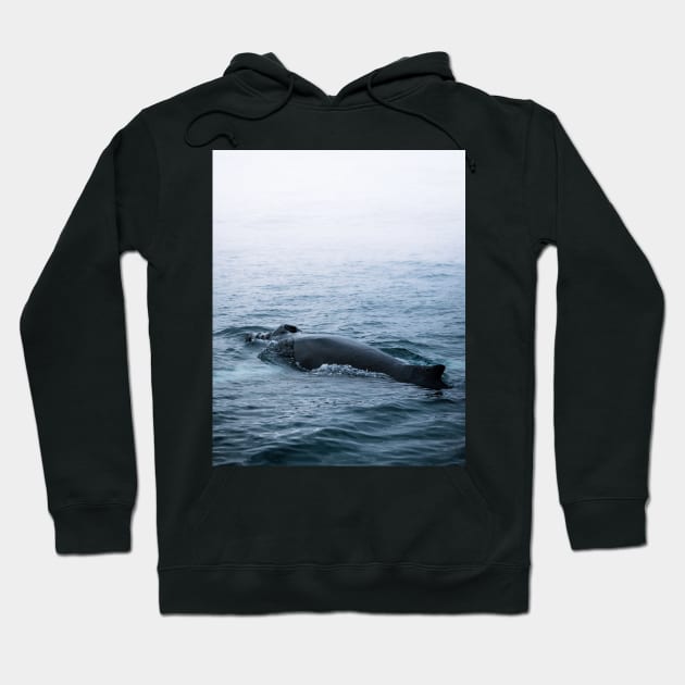 Humpback whale in the minimalist fog - photographing animals Hoodie by regnumsaturni